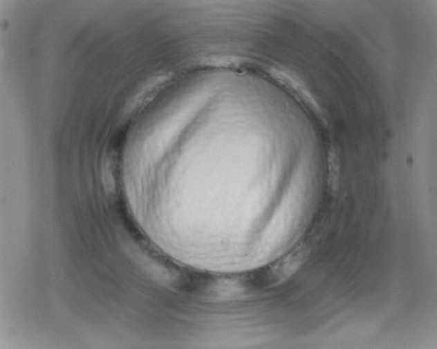 X0000079300114200612081854