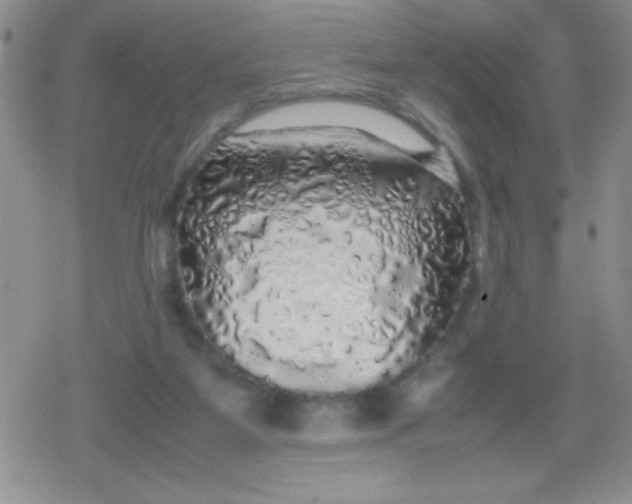 X0000079300115200612081854