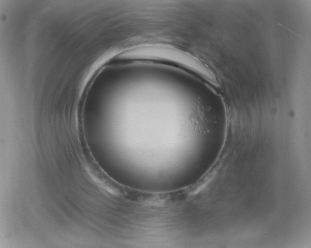 X0000079300148200612081852
