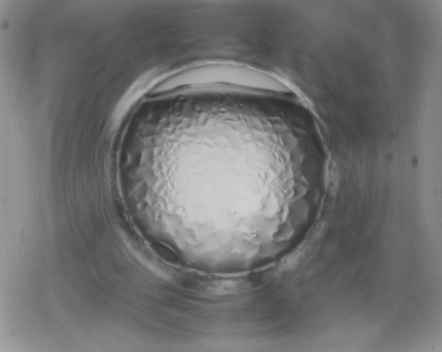 X0000079300151200612081852