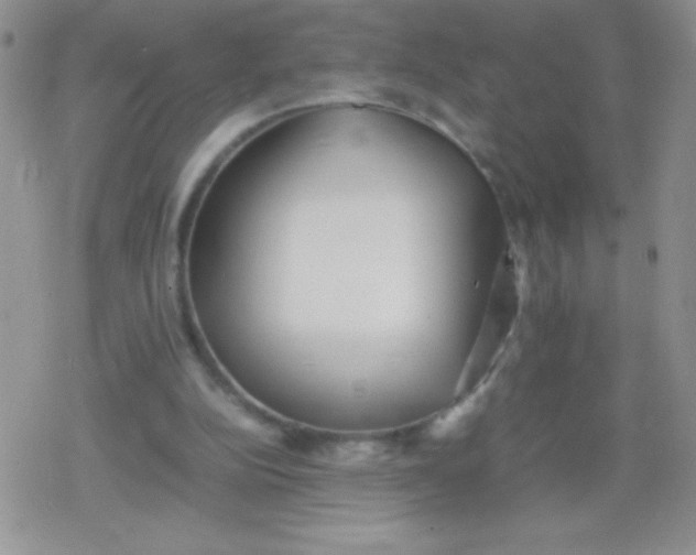 X0000079300152200612081852