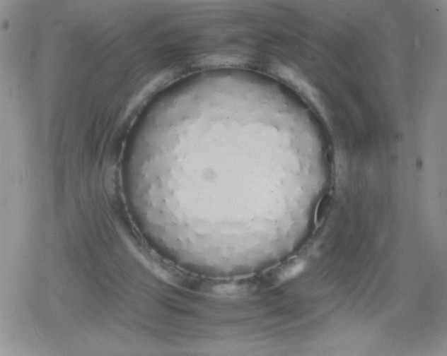 X0000079300153200612081853