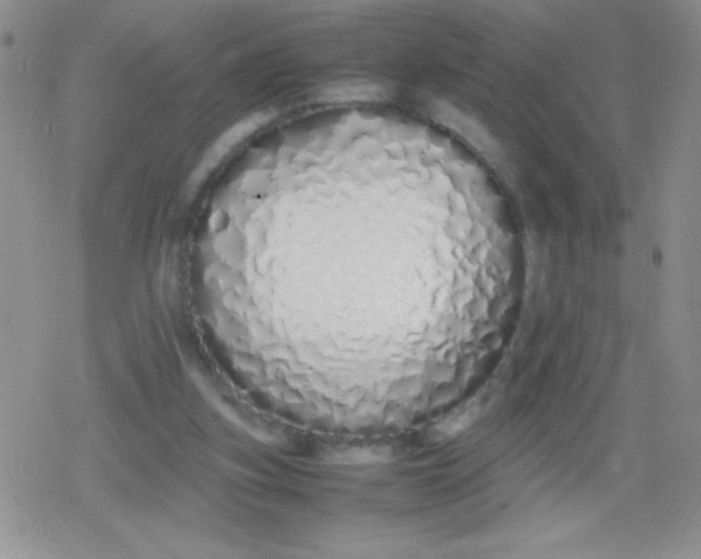X0000079300155200612081853