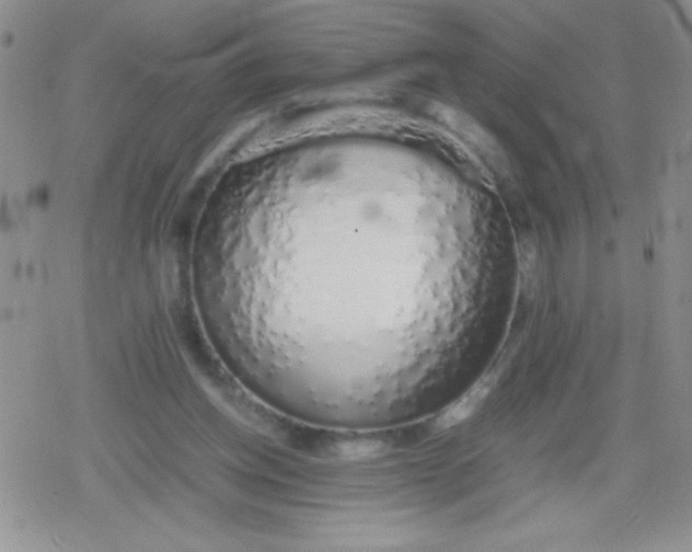 X0000079300158200612081853