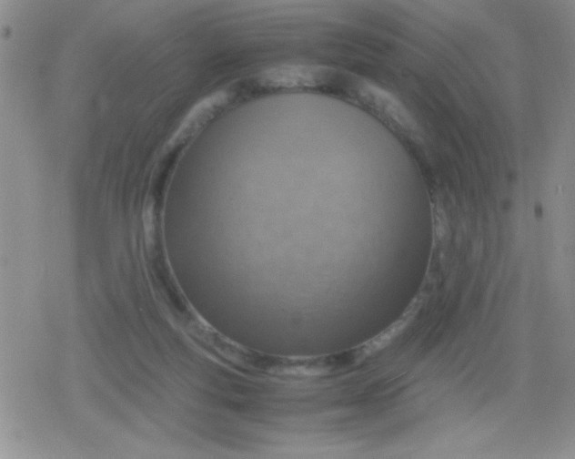 X0000079300163200612081853