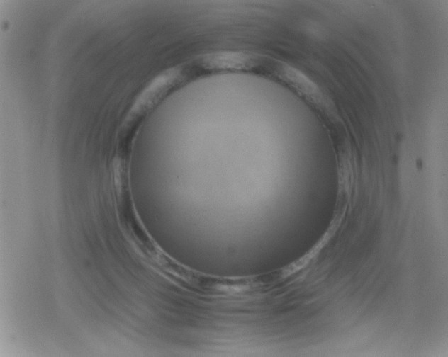 X0000079300167200612081853