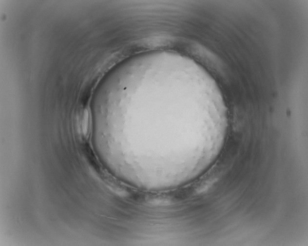 X0000079300210200612081852