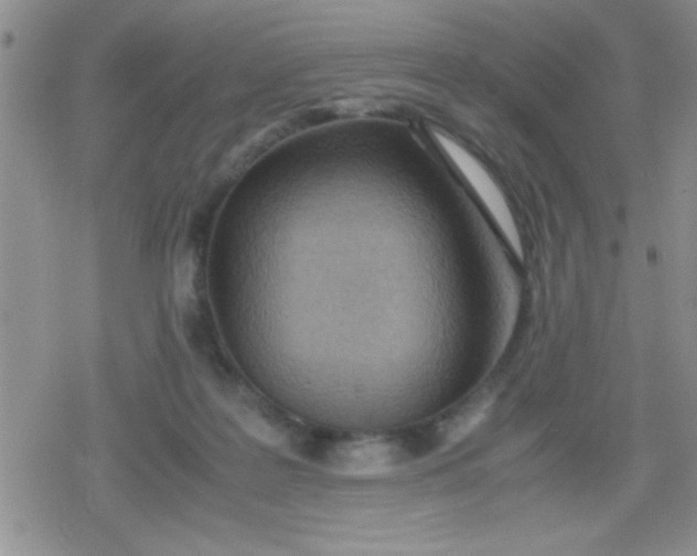 X0000079300219200612081852