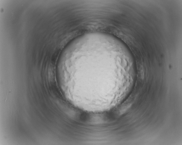 X0000079300226200612081852