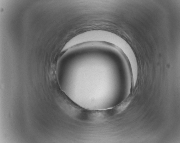 X0000079300237200612081852