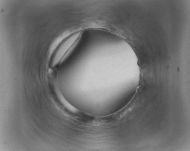 X0000079300248200612081851