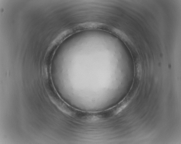 X0000079300254200612081851