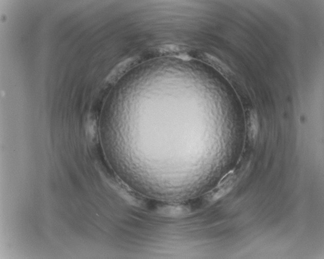 X0000079300276200612081851