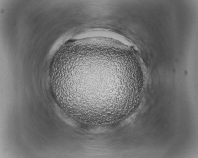 X0000079300293200612081851
