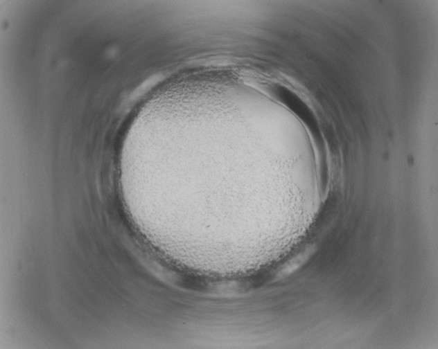 X0000079300301200612081851
