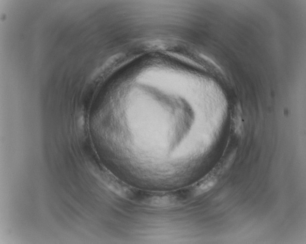 X0000079300314200612081850