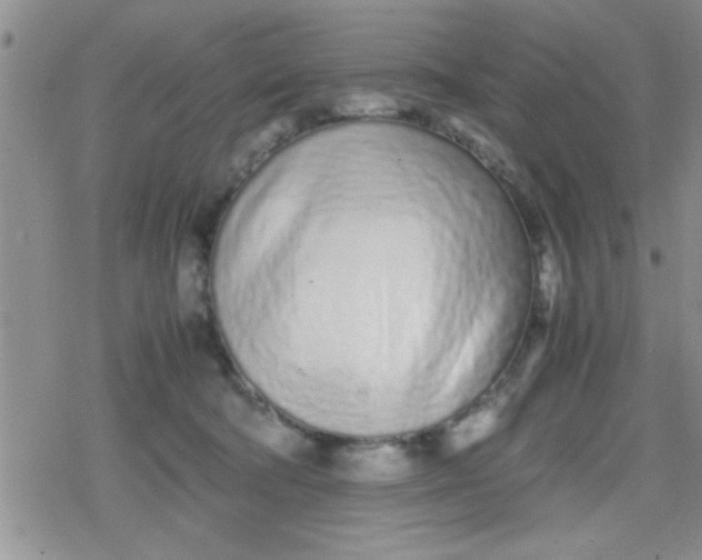 X0000079300322200612081850
