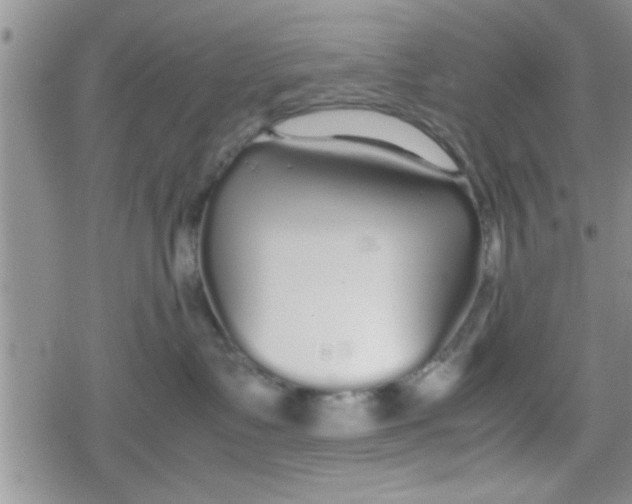 X0000079300335200612081850