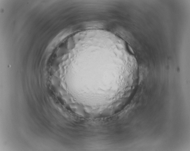 X0000079300339200612081849