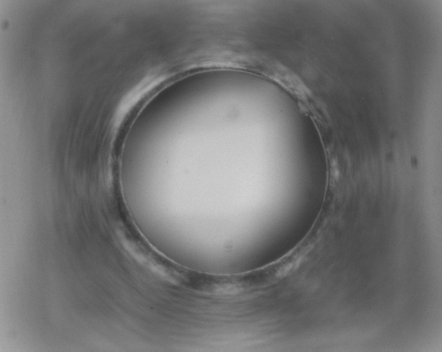 X0000079300344200612081849