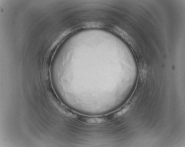 X0000079300347200612081849