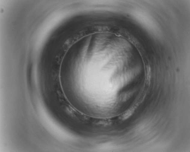 X0000079300383200612081850