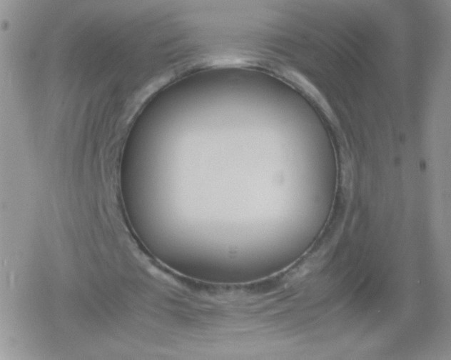 X0000079300385200612081849