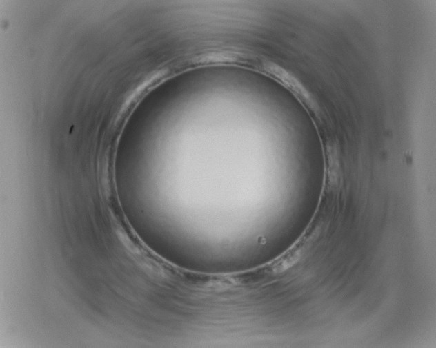 X0000079300386200612081849