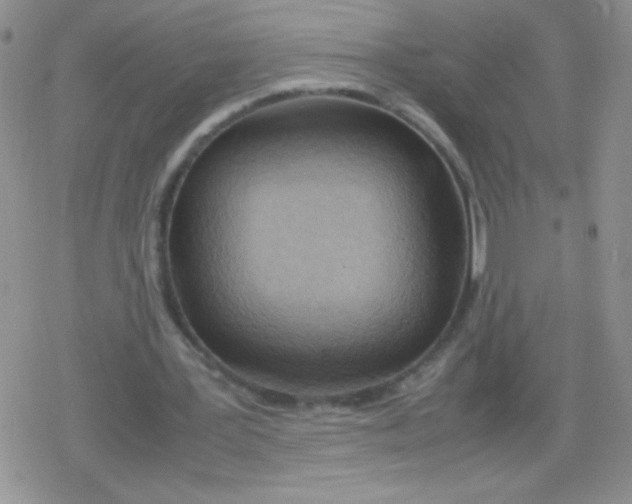 X0000079300387200612081849
