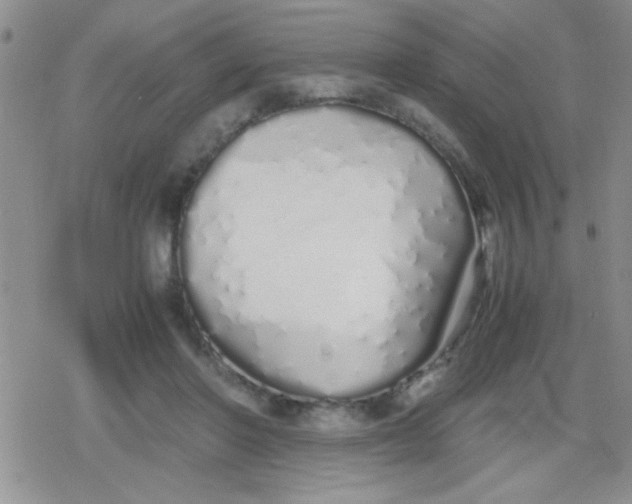X0000079300406200612081849
