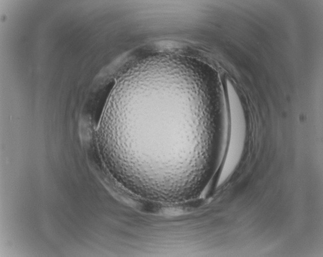 X0000079300413200612081849