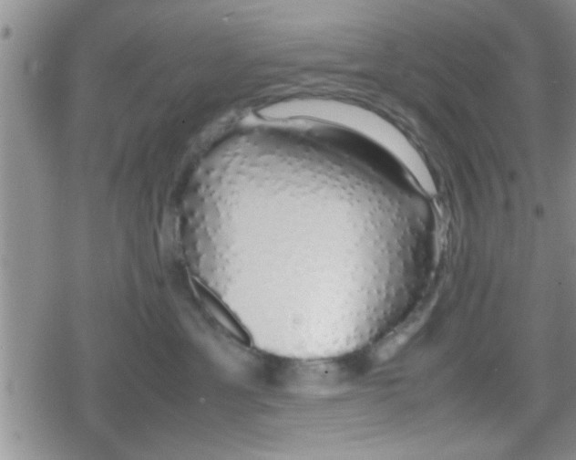 X0000079300429200612081849