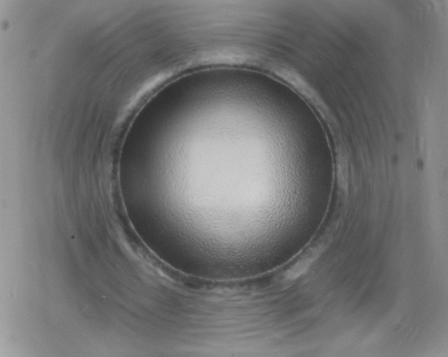 X0000079300434200612081848