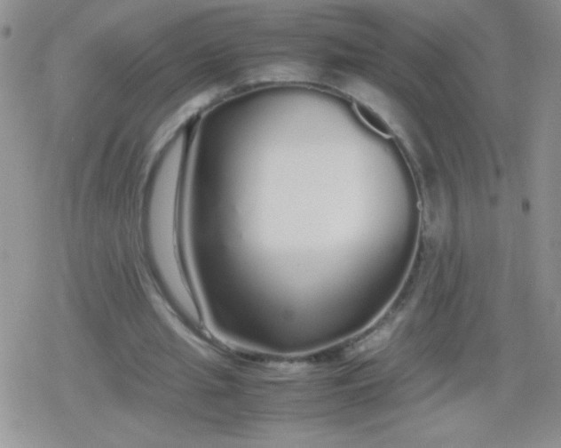 X0000079300437200612081848