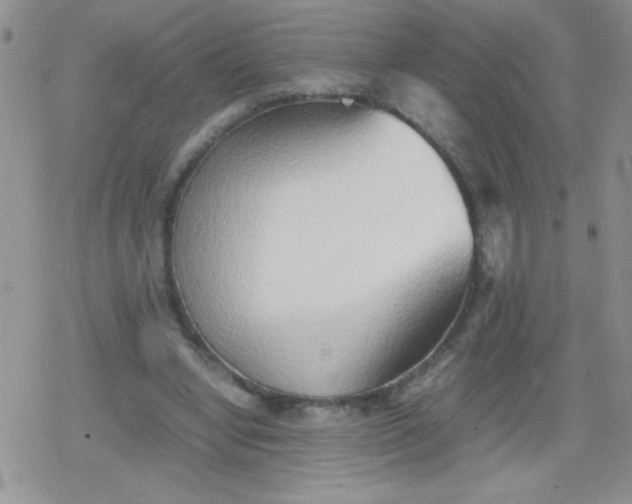 X0000079300442200612081848