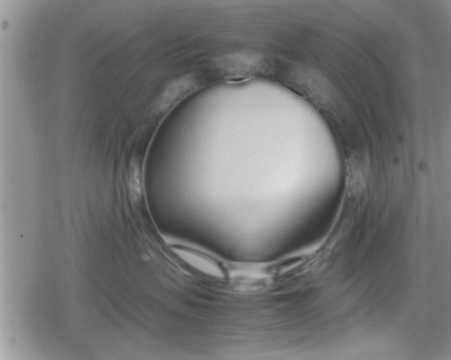 X0000079300479200612081848