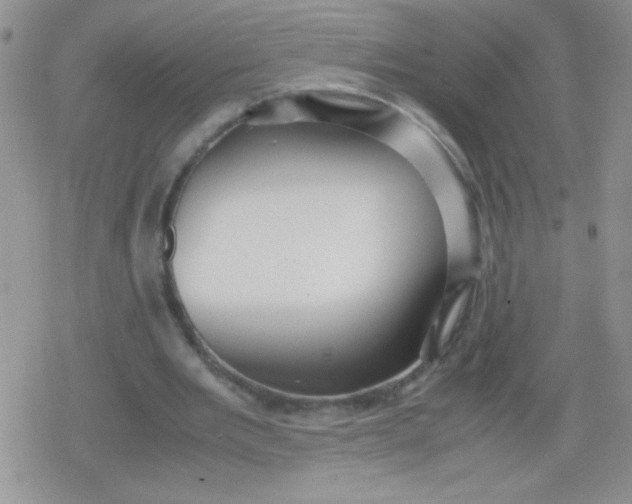 X0000079300485200612081848