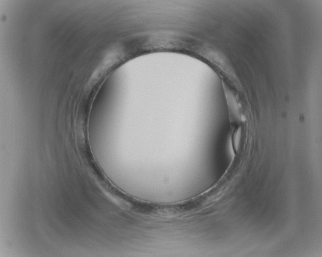 X0000079300489200612081848