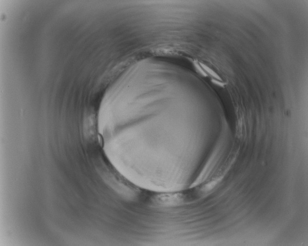 X0000079300526200612081847