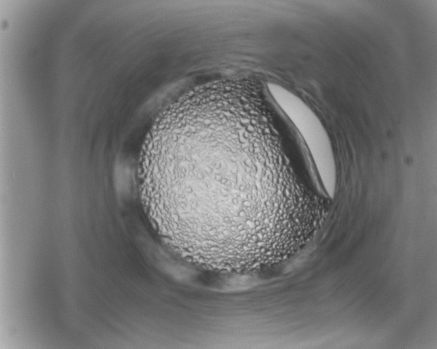 X0000079300527200612081847