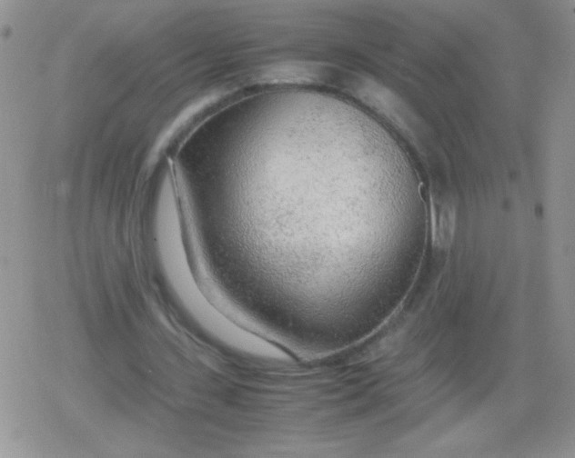 X0000079300531200612081846