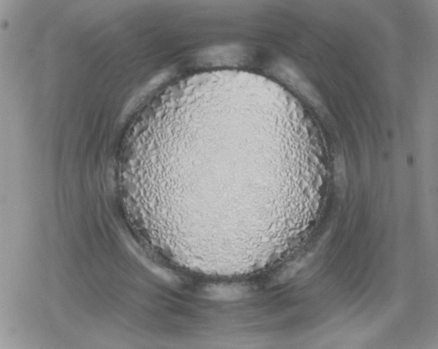 X0000079300537200612081846