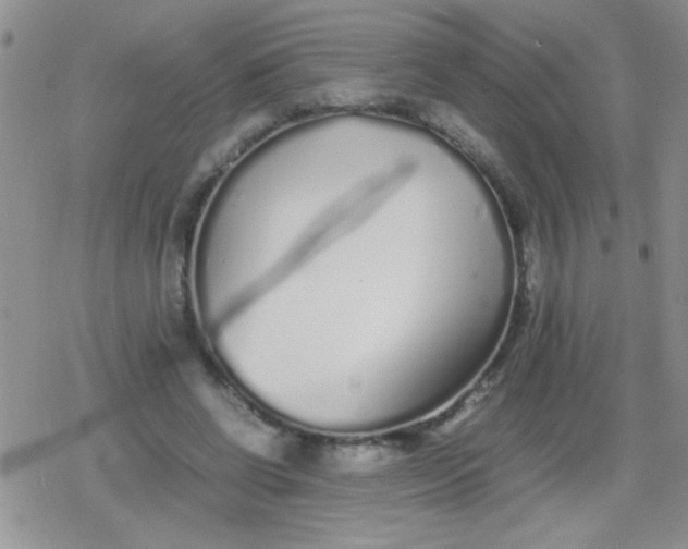 X0000079300542200612081846