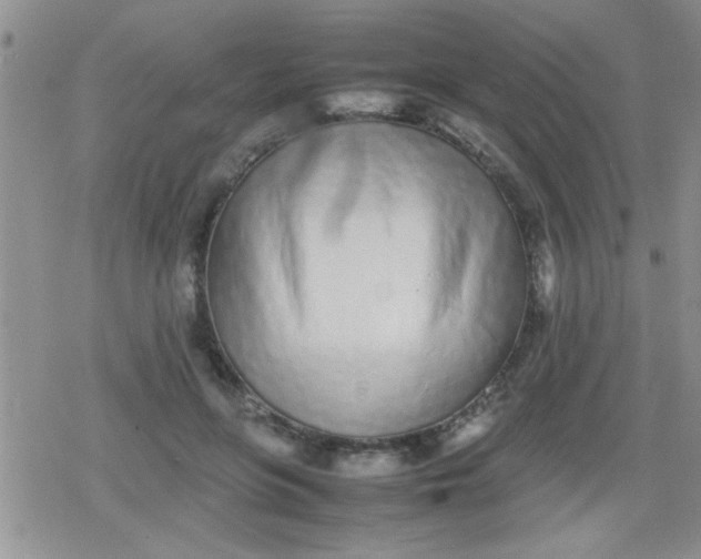 X0000079300551200612081846