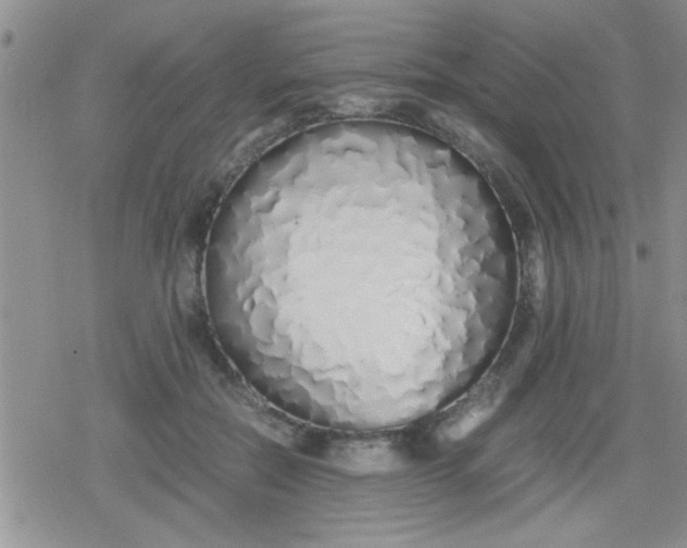 X0000079300554200612081847
