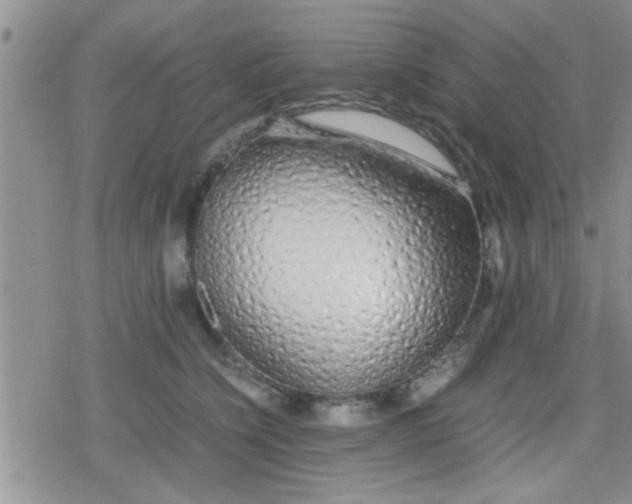 X0000079300564200612081847