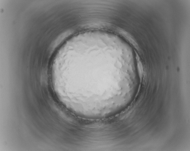 X0000079300578200612081846