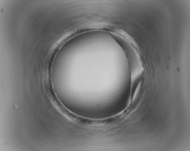 X0000079300581200612081846