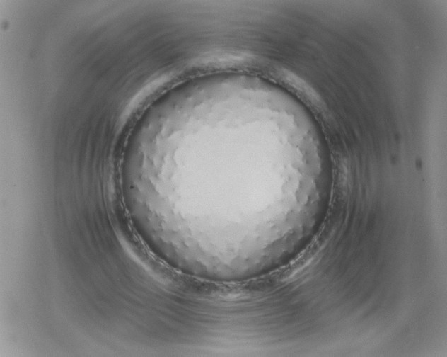 X0000079300582200612081846