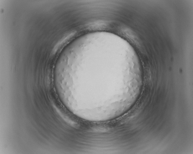 X0000079300586200612081846